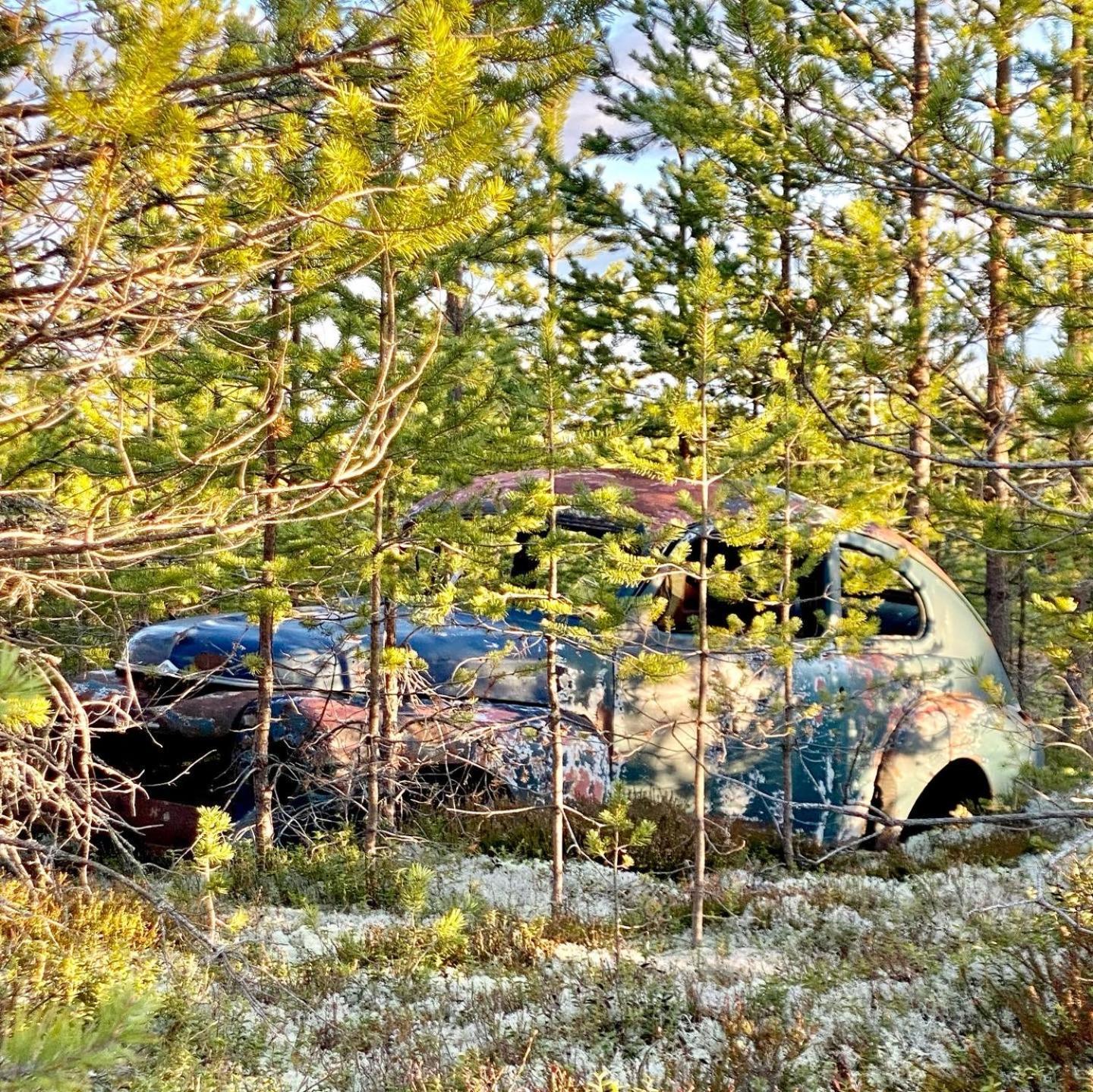 Offroadcamp 호텔 Sörsjön 외부 사진